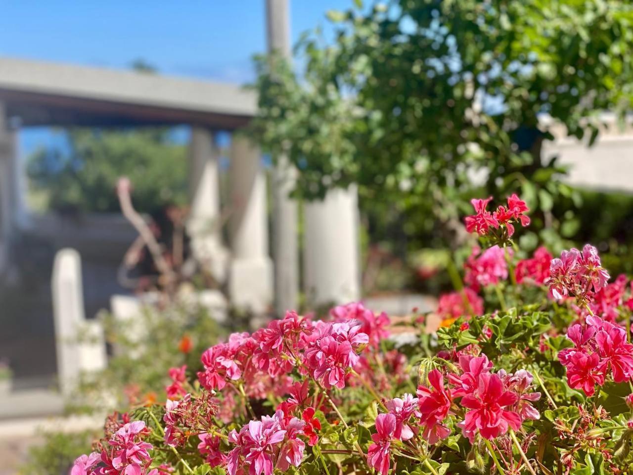 Casa Zagami Villa Малфа Екстериор снимка
